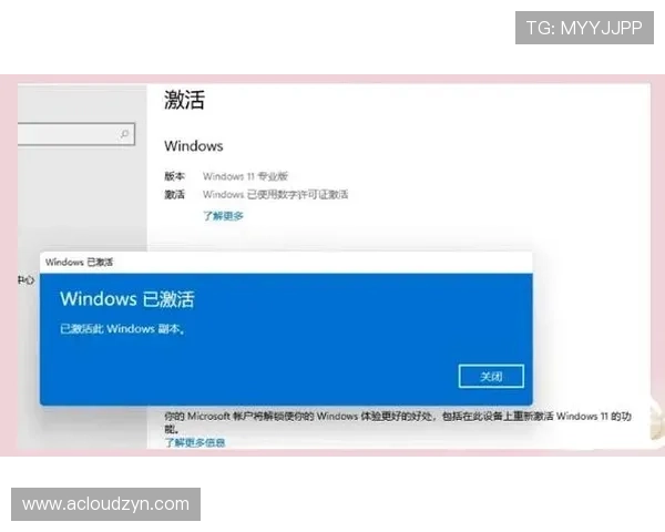 博鱼真人平台会员登录不上如何快速恢复账号访问权限的实用技巧 博鱼真人平台会员登录不上如何快速恢复账号访问权限的实用技巧